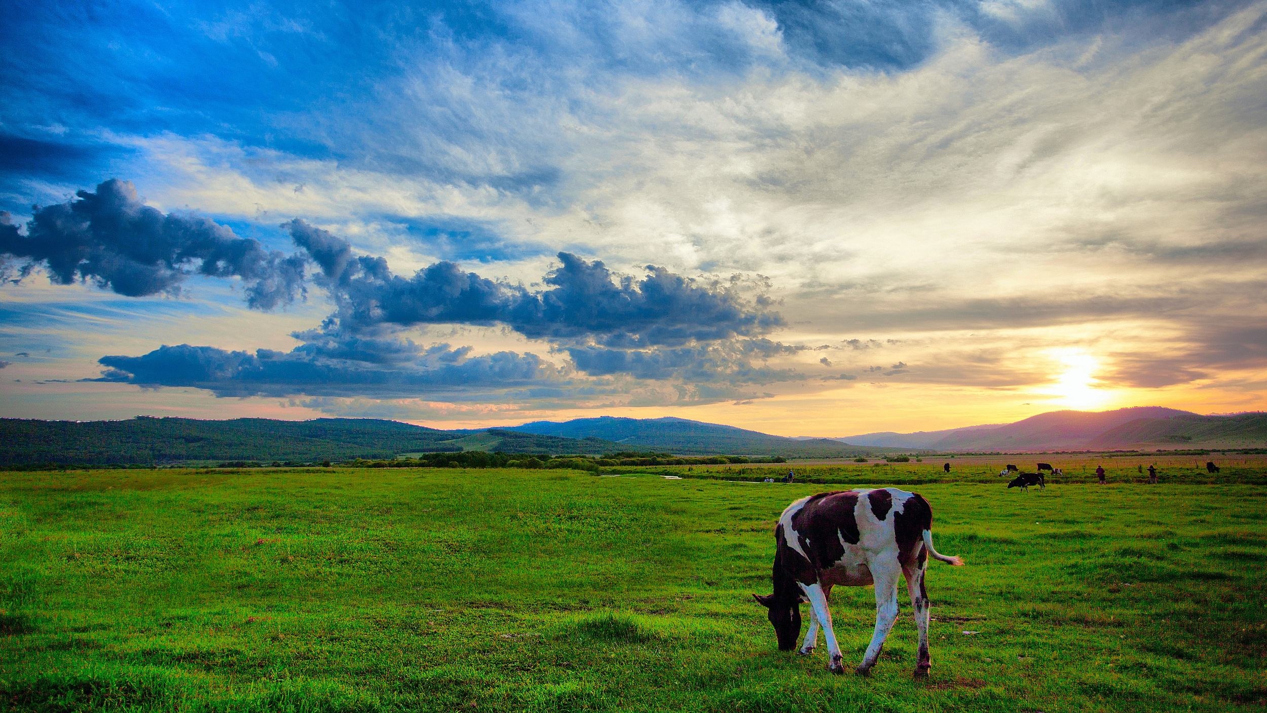 呼伦贝尔草原之旅，全攻略带你畅游难忘之旅